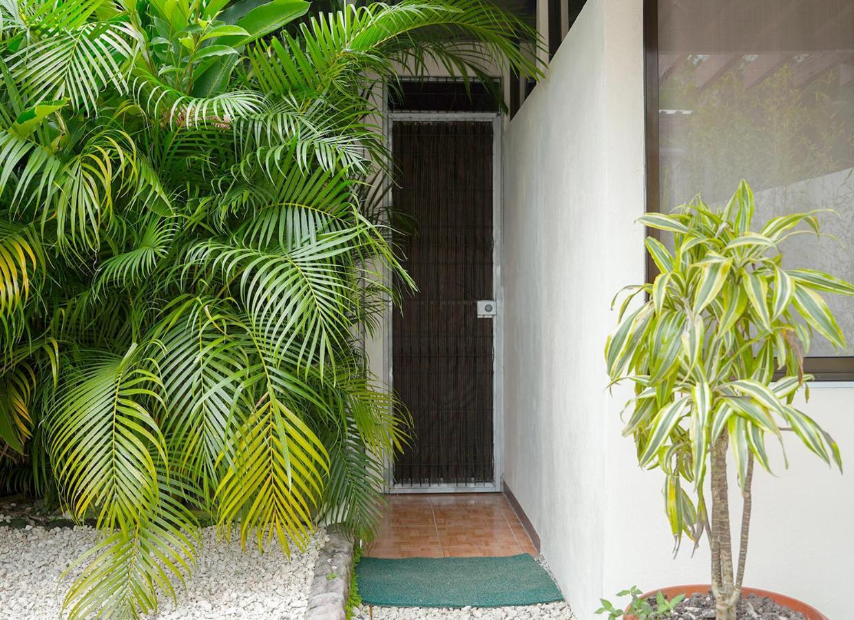 Apartamentos Y Studios Brisas Del Mar Santa Teresa Playa Santa Teresa  Bagian luar foto