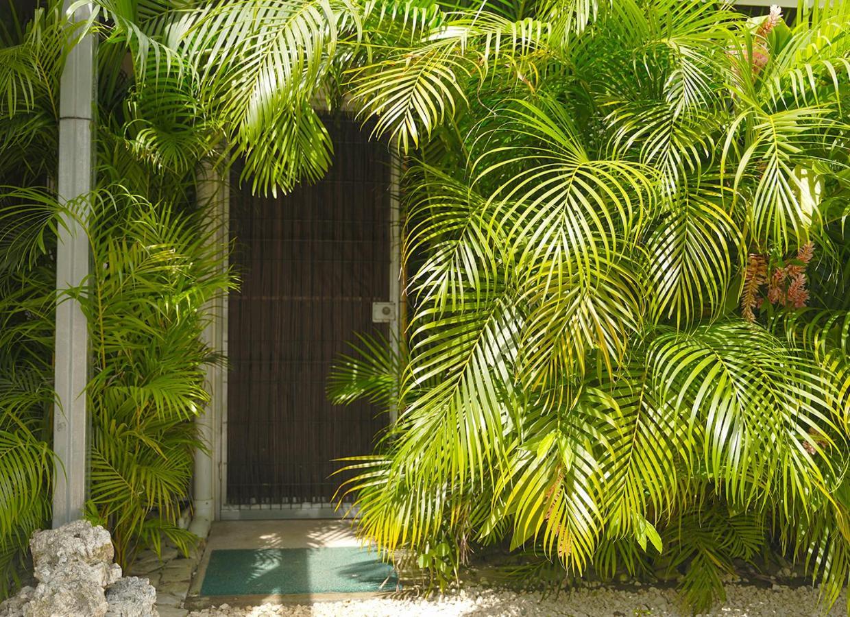 Apartamentos Y Studios Brisas Del Mar Santa Teresa Playa Santa Teresa  Bagian luar foto